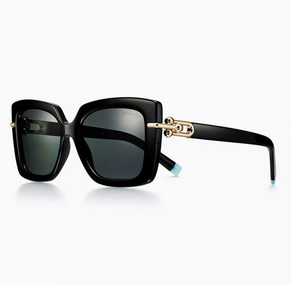 Tiffany & Co. Tiffany HardWear Sunglasses in Black Acetate with Dark Gray Lenses